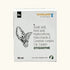Vivaldis Otisoothe ear Drops